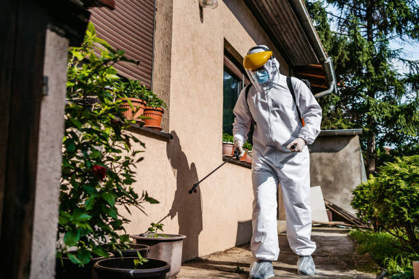 Spider Control Near Me in Poulsbo, WA