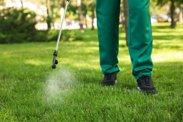 Trusted Poulsbo, WA Pest Control Experts