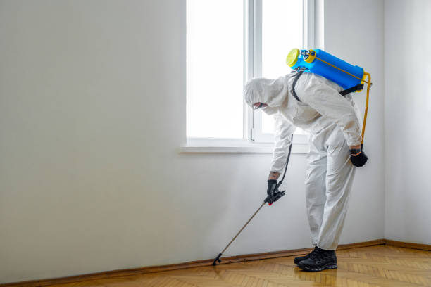 Best Best Pest Control Companies  in Poulsbo, WA