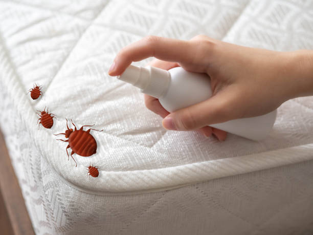 Best Pest Removal Services  in Poulsbo, WA